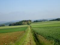  Wanderroute durch die Riede Steinriegel 