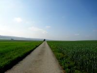  Blick auf die Wanderstrecke 