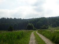  Blick auf die Wanderstrecke 