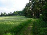  Wanderroute nach Maria Dreieichen 