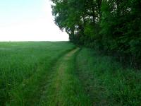  Wanderroute nach Maria Dreieichen 