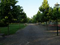  Wanderroute durch den Stadtpark am Michelbach 