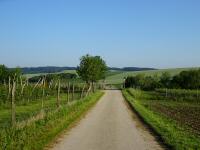  Blick auf die Wanderstrecke 