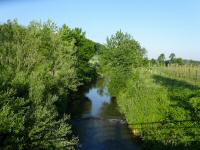  Blick auf die Perschling flussaufwrts 