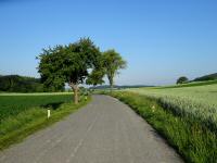  Blick auf die Wanderstecke 