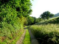  Wanderroute auf den Plattenberg 