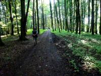  Wanderroute auf dem Kollersberg 