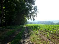  Wanderroute auf dem Kollersberg 