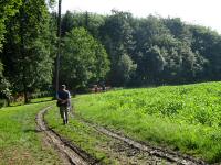  Blick auf die Wanderstrecke 