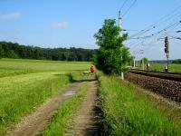  Wanderroute nach Weisching 