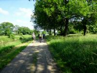 Wanderroute entlang des Michelbachs nach Untergrafendorf 