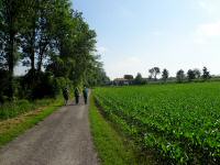  Wanderroute nach Untergrafendorf 