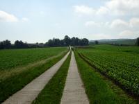  Wanderroute zu den Kellern bei Untergrafendorf 