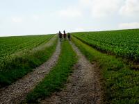  Wanderroute durch die Riede Ziegelfeld 
