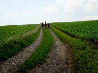  Wanderroute durch die Riede Ziegelfeld 