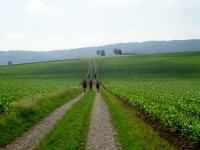 Wanderroute durch die Riede Ziegelfeld zum Modellflugplatz 