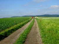  Wanderroute durch die Riede Ziegelfeld 