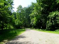 Wanderroute wieder durch den Stadtpark am Michelbach 