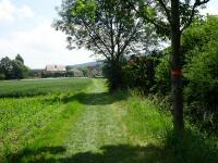  Wanderroute wieder nach Reith 