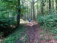  Blick auf die Wanderstrecke auf dem Eichberg 