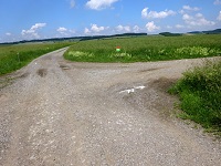 Blick auf die Wanderstrecke bei der Streckenteilung  (11-22/42 km)