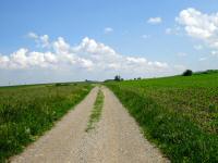  Blick auf die Wanderstrecke 