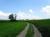  Blick auf die Wanderstrecke 