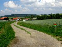  Blick auf die Wanderstrecke bei Sichelbach 