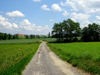  Blick auf die Wanderstrecke 