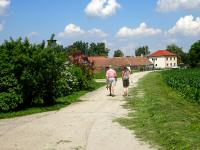  Blick auf die Wanderstrecke bei Pettenau 