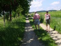  Blick auf die Wanderstrecke bei Pettenau 