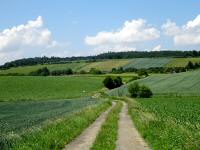  Blick auf die Wanderstrecke 