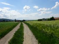  Wanderroute nach Paltram 