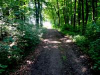  Blick auf die Wanderstrecke 