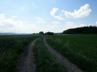  Blick auf die Wanderstrecke 