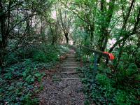  Wanderroute nach Totzenbach 