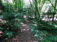  Wanderroute nach Totzenbach 