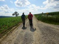 Blick auf die Wanderstrecke am Ortsende von Totzenbach 