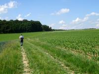  Blick auf die Wanderstrecke 