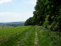  Blick auf die Wanderstrecke 