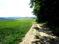  Blick auf die Wanderstrecke 