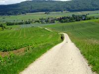  Wanderroute nach Lanzendorf 