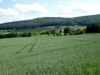  Fernblick zur Dorfkapelle Lanzendorf 