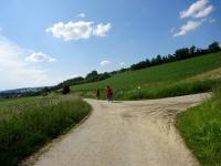  Blick auf die Wanderstrecke 