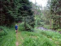  Wanderroute entlang der Waldaist 
