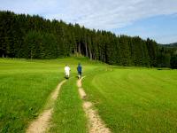  Blick auf die Wanderstrecke 