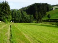  Blick auf die Wanderstrecke 