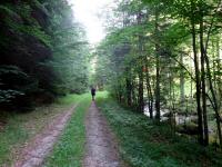  Wanderroute entlang der Waldaist 