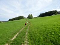  Wanderroute zum Starzerhof 