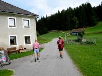 Blick auf die Wanderstrecke bei Gehft Kferbck vulgo Friedl 